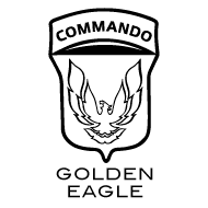 LOGO GOLDEN EAGLE 2
